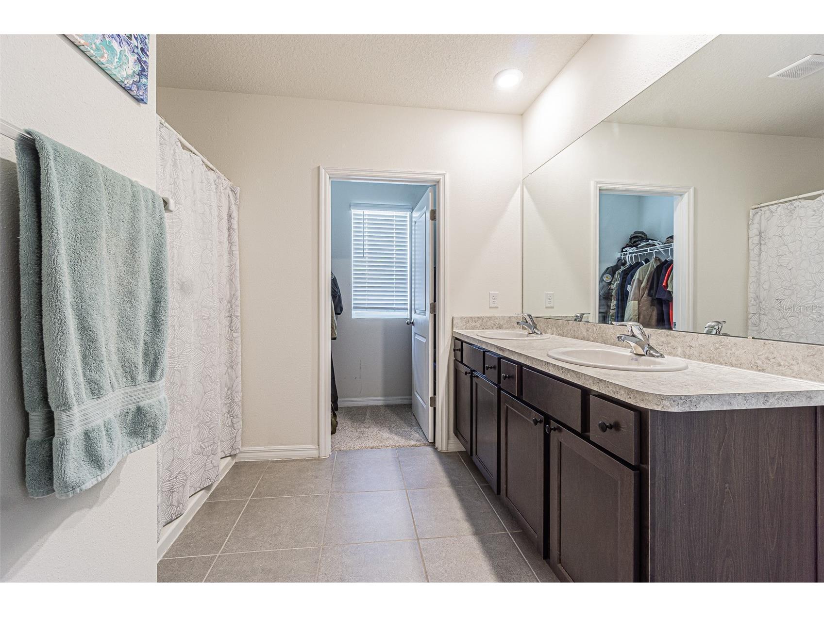 10212 Golden Light Court Riverview FL 33578 TB8507905 image17