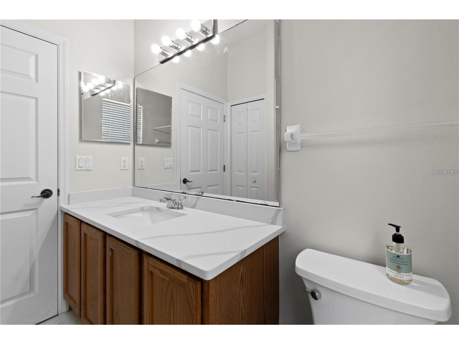 10212 Hart Branch Circle Orlando FL 32832 O6419182 image27