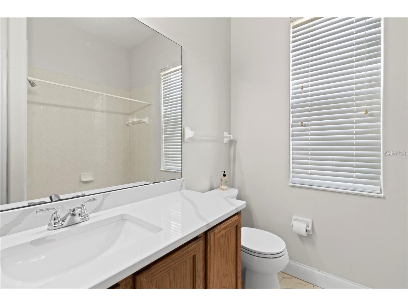 10212 Hart Branch Circle Orlando FL 32832 O6419182 image39