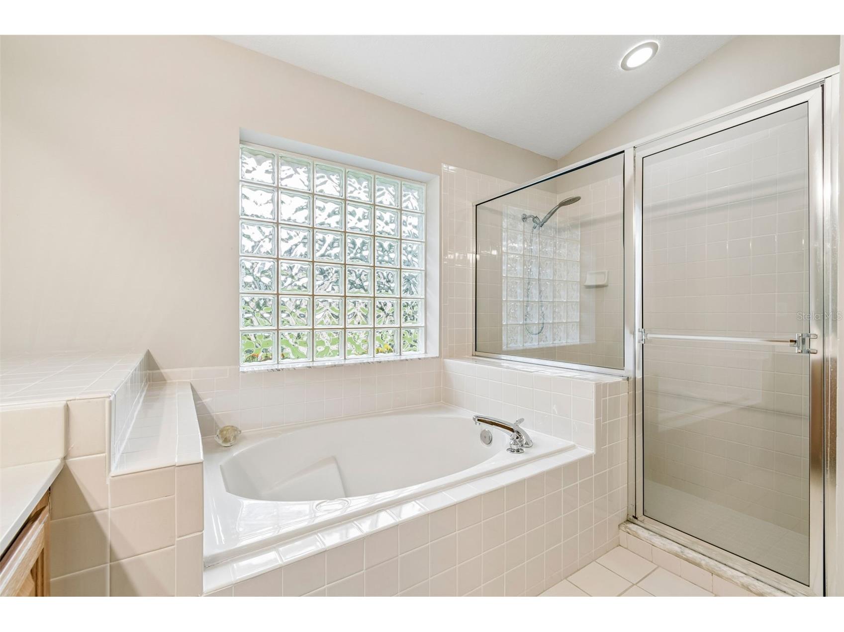 10212 Pointview Court Orlando FL 32836 - BIG SANK LAKE O6406734 image20