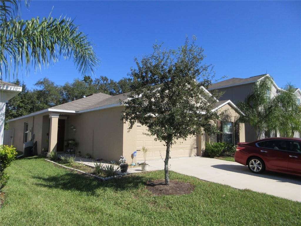 10212 Strawberry Tetra Drive Riverview FL 33578 T3340402 image1