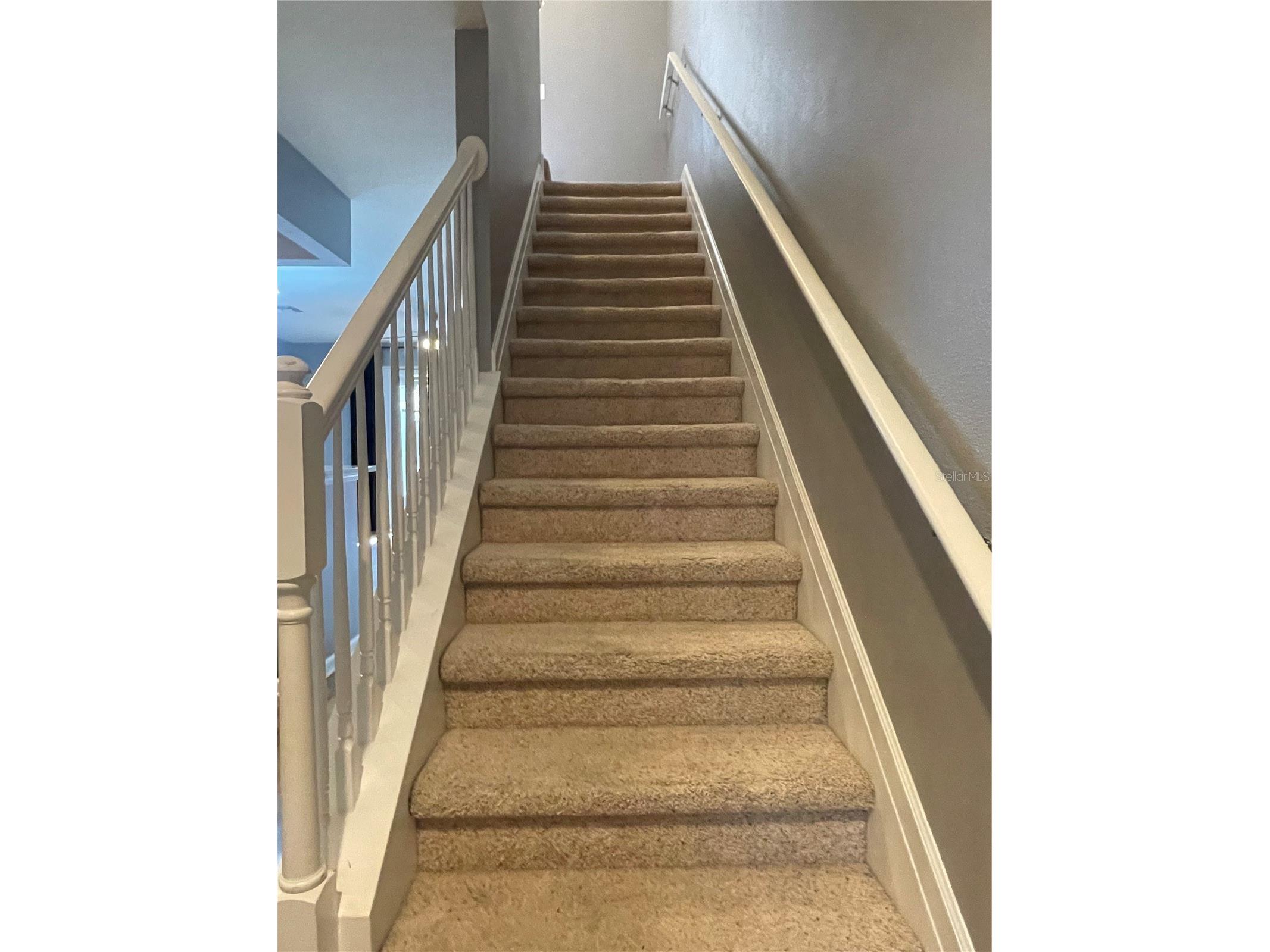 10212 Westpark Preserve Boulevard Tampa FL 33625 TB8491517 image5