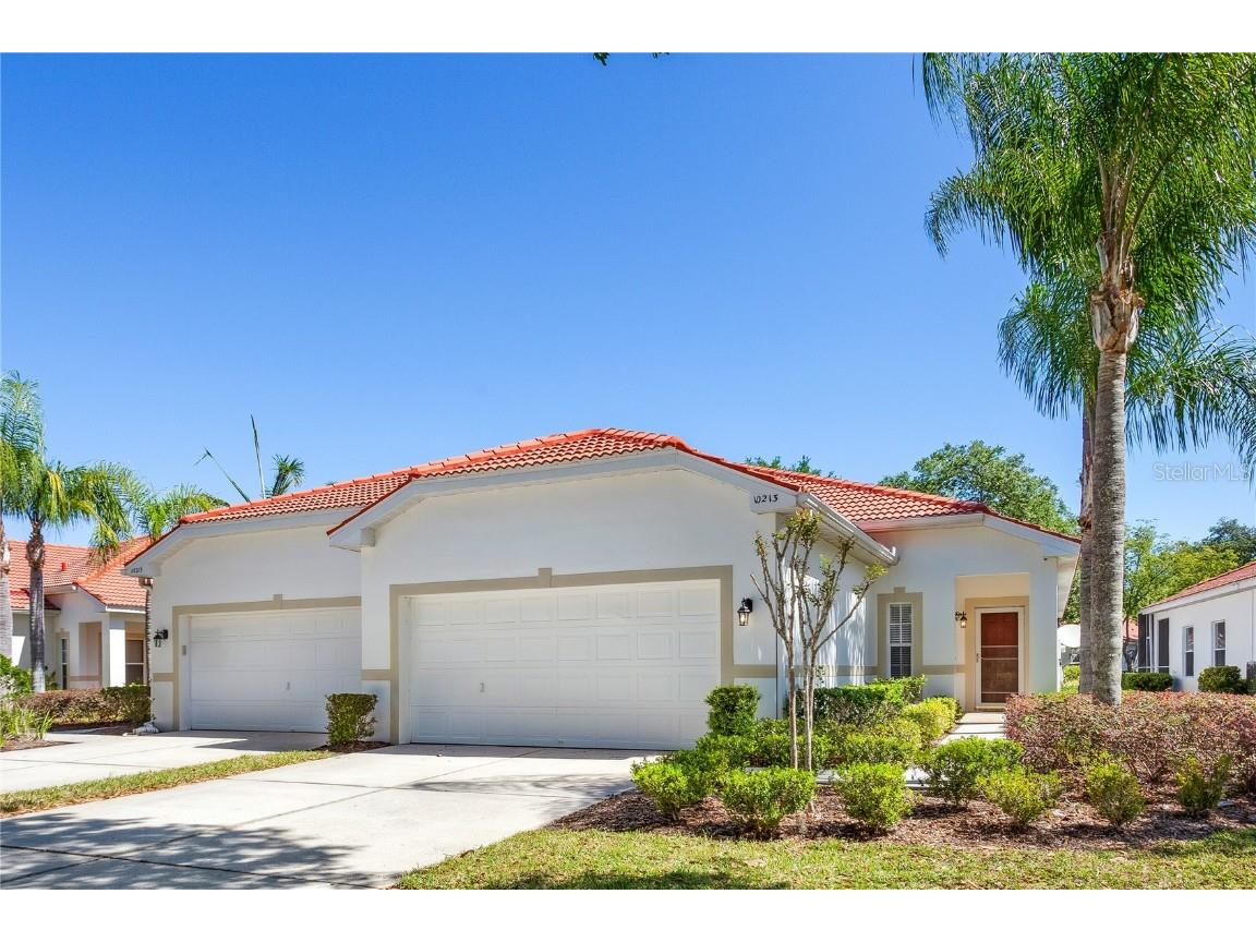 10213 Devonshire Lake Drive Tampa FL 33647 T3434979 image1