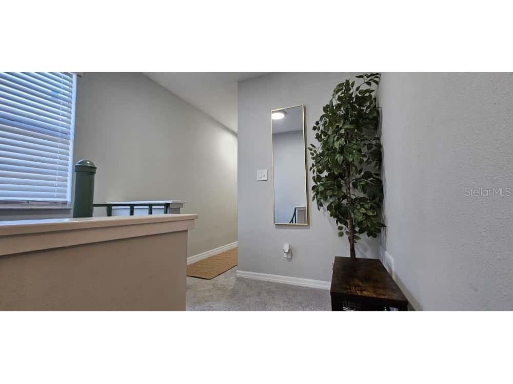 10213 N Ojus Drive Tampa FL 33617 TB8447451 image16