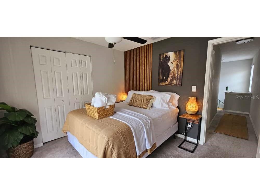 10213 N Ojus Drive Tampa FL 33617 TB8447451 image18