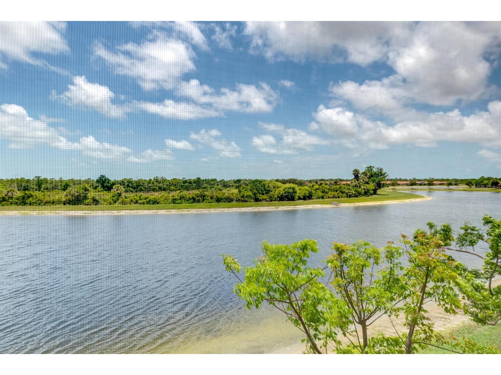 10213 Staggerbush Drive #202 Venice FL 34293 N6141045 image48