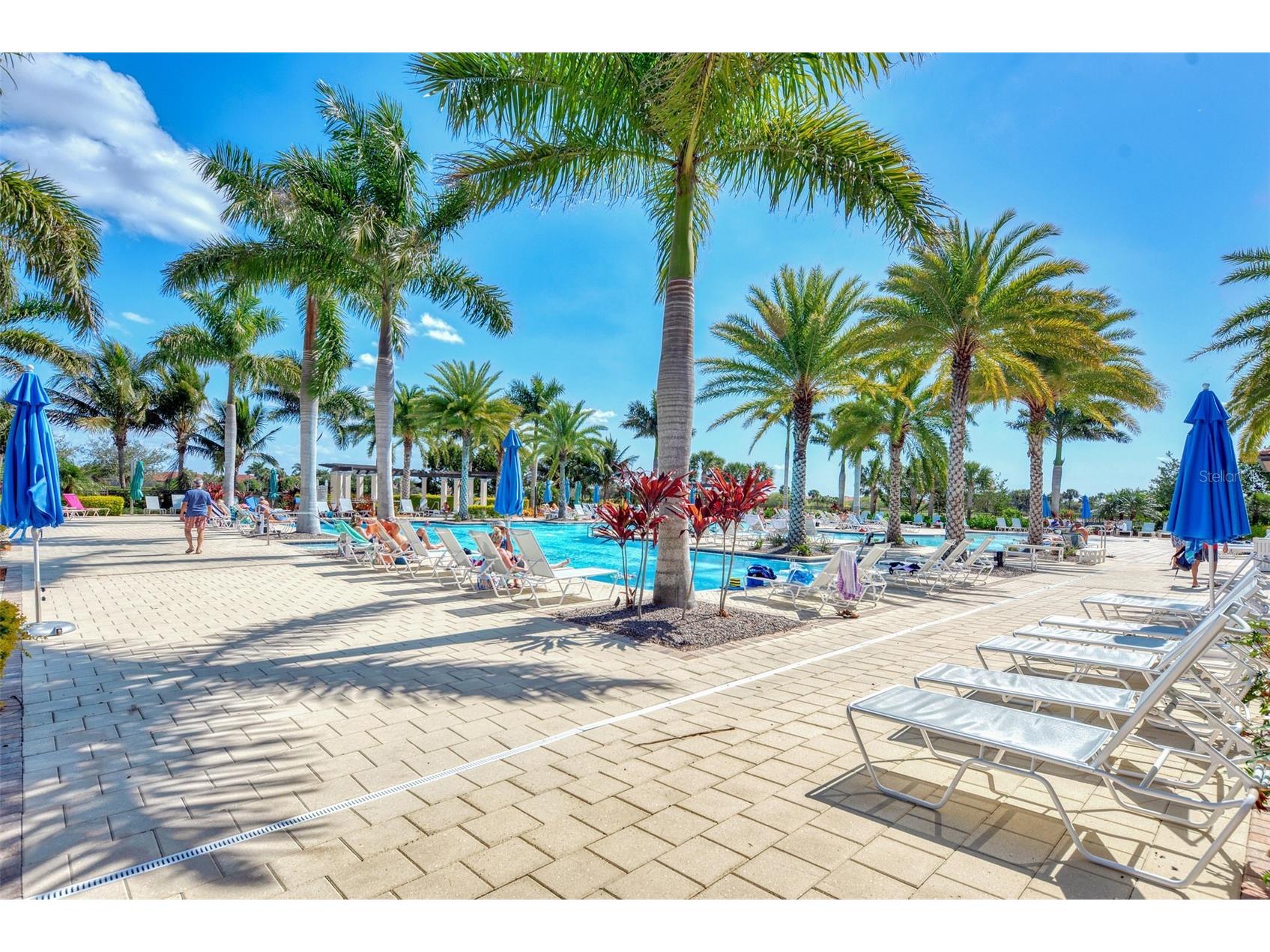 10213 Staggerbush Drive #202 Venice FL 34293 N6141045 image71