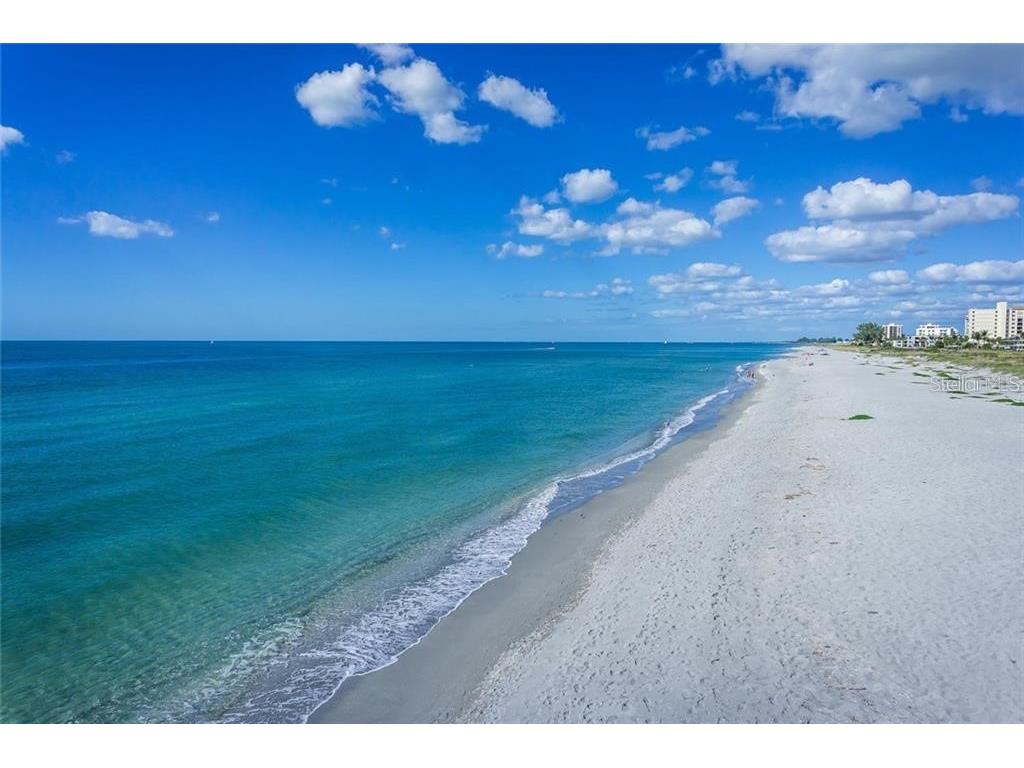 10213 Staggerbush Drive #202 Venice FL 34293 N6141045 image92