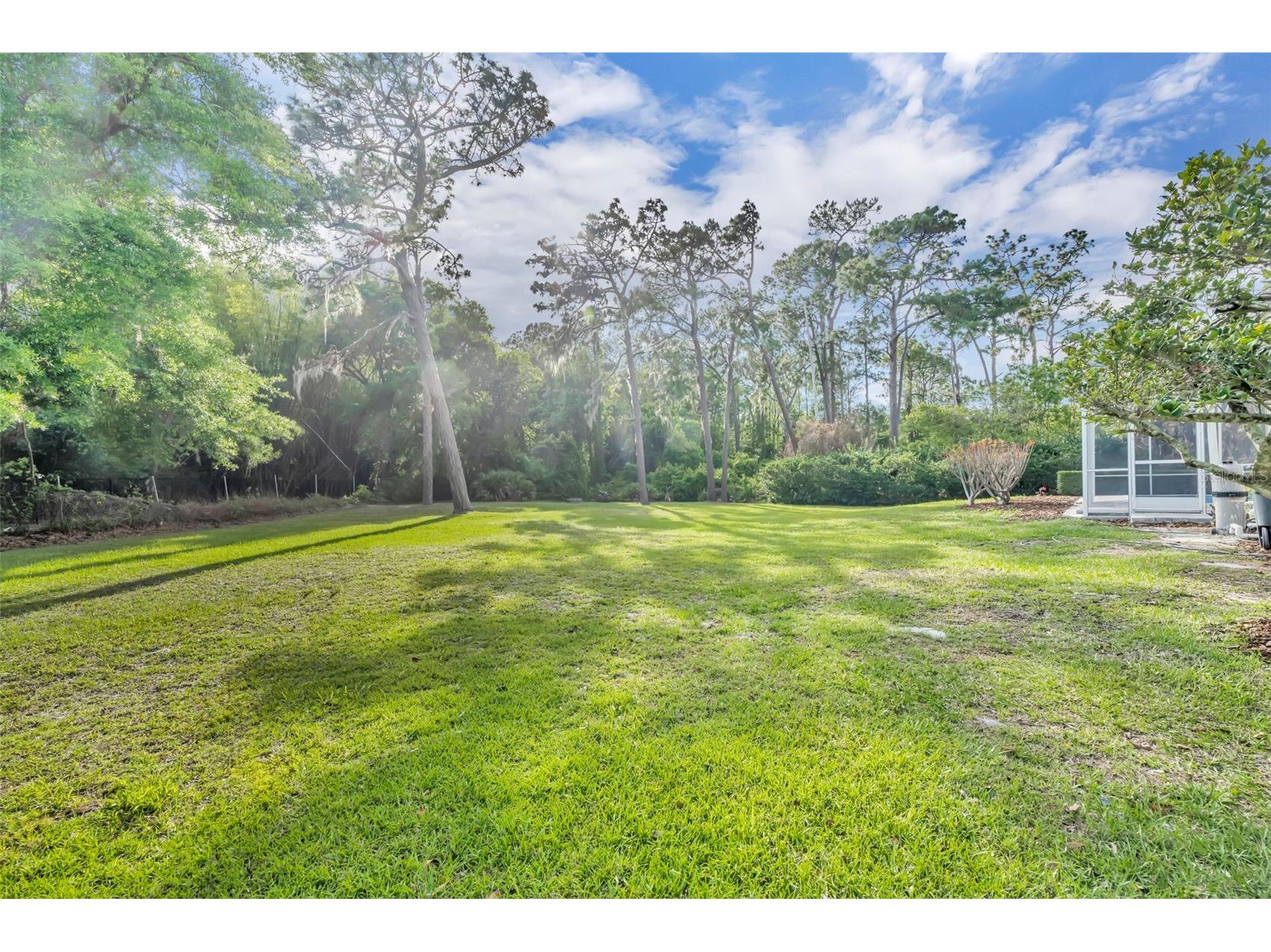 10214 Trout Lane Orlando FL 32836 O6398362 image50