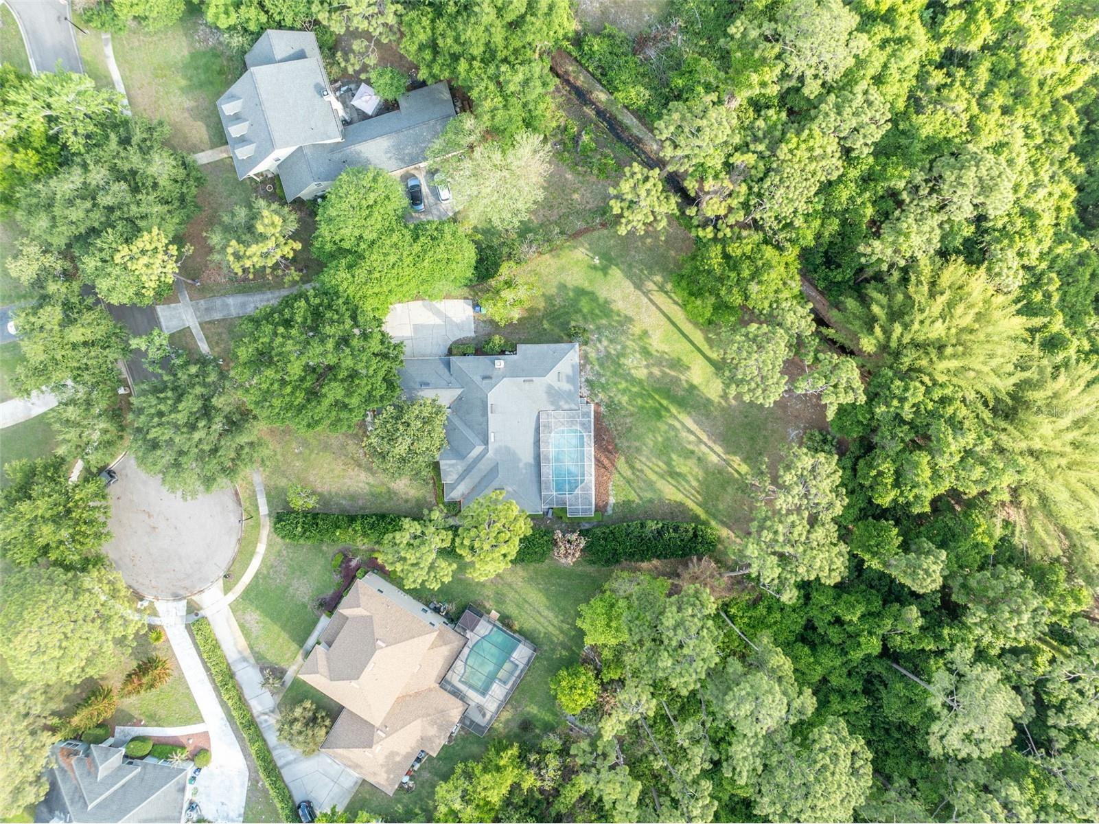 10214 Trout Lane Orlando FL 32836 O6398362 image58