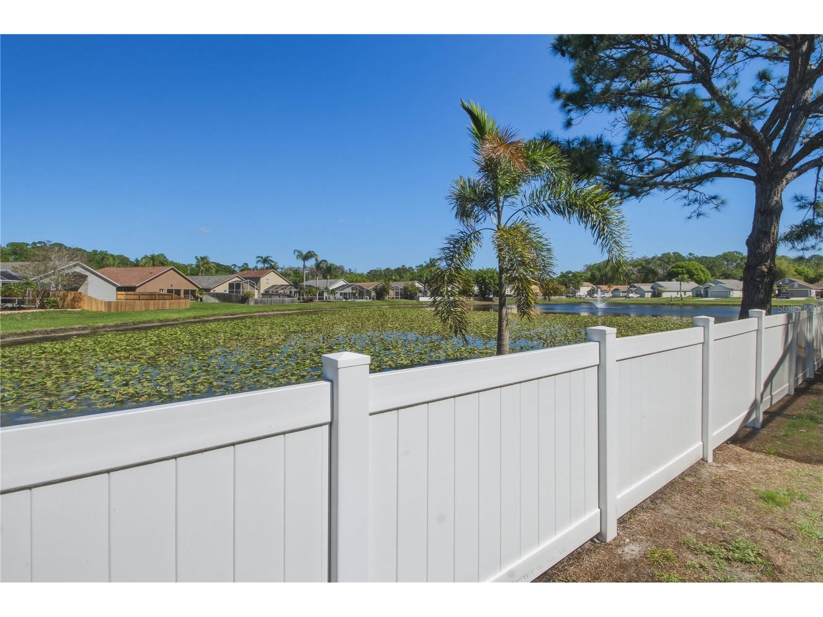 10215 Charleston Corner Road Tampa FL 33635 TB8495494 image34