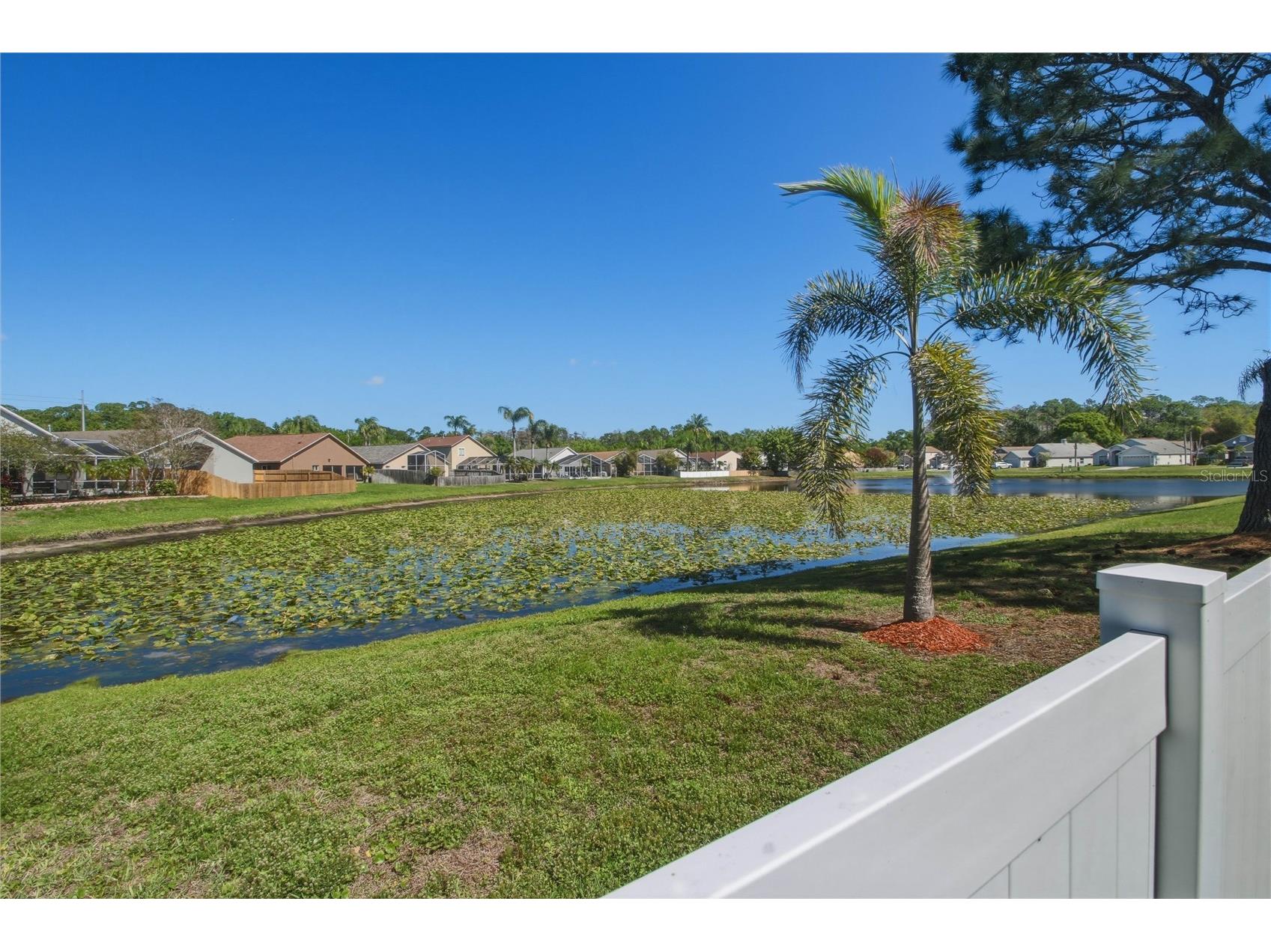 10215 Charleston Corner Road Tampa FL 33635 TB8495494 image35
