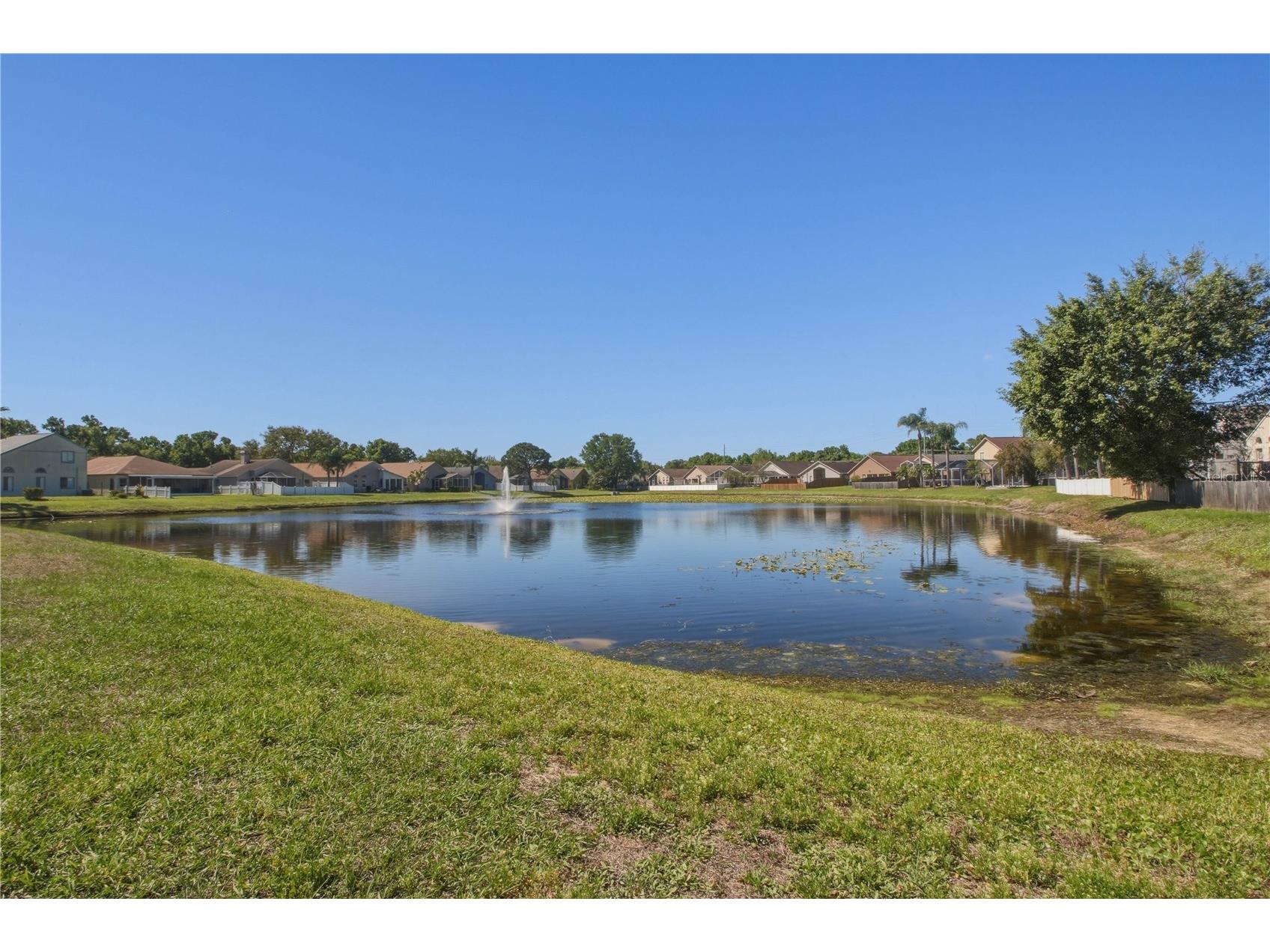 10215 Charleston Corner Road Tampa FL 33635 TB8495494 image36