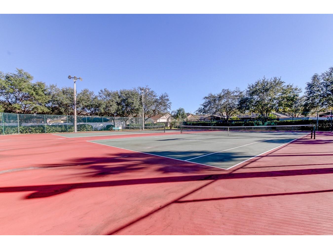 10215 Charleston Corner Road Tampa FL 33635 TB8495494 image39