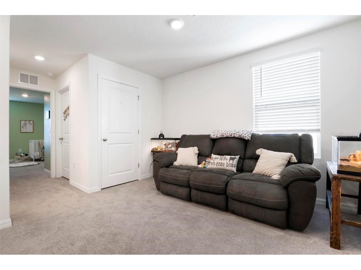 10215 Charlotte Drive Parrish FL 34219 A4676137 image17