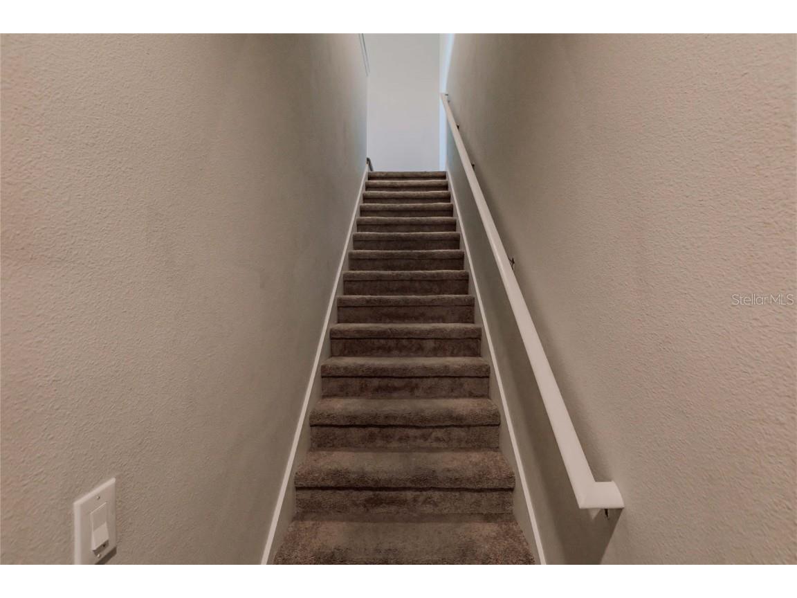 10215 Count Fleet Drive Ruskin FL 33573 TB8304369 image28