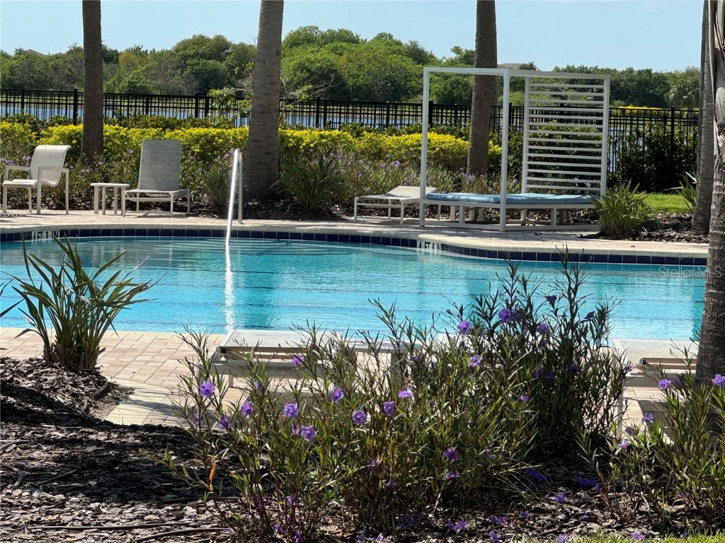 10215 Count Fleet Drive Ruskin FL 33573 TB8304369 image57