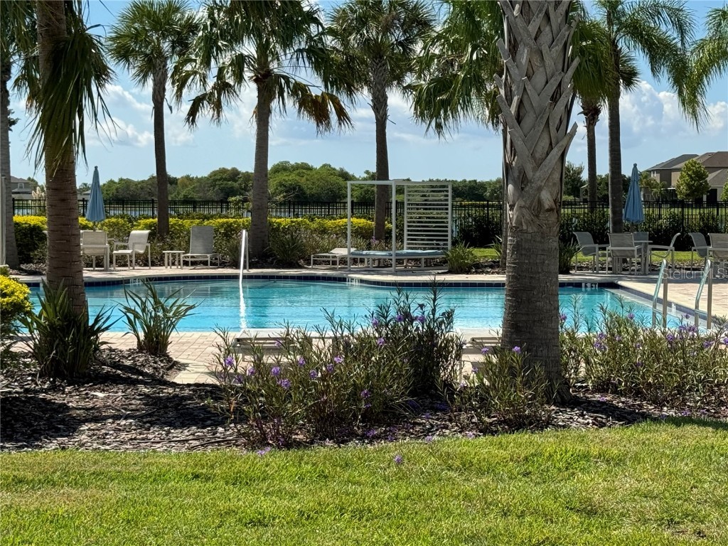 10215 Count Fleet Drive Ruskin FL 33573 TB8304369 image58