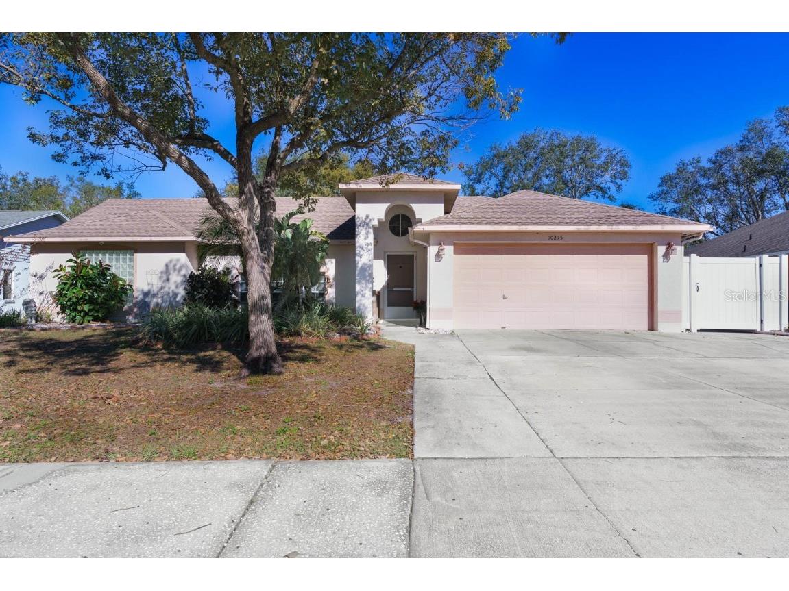 10215 Evening Trail Drive Riverview FL 33569 TB8338247 image1