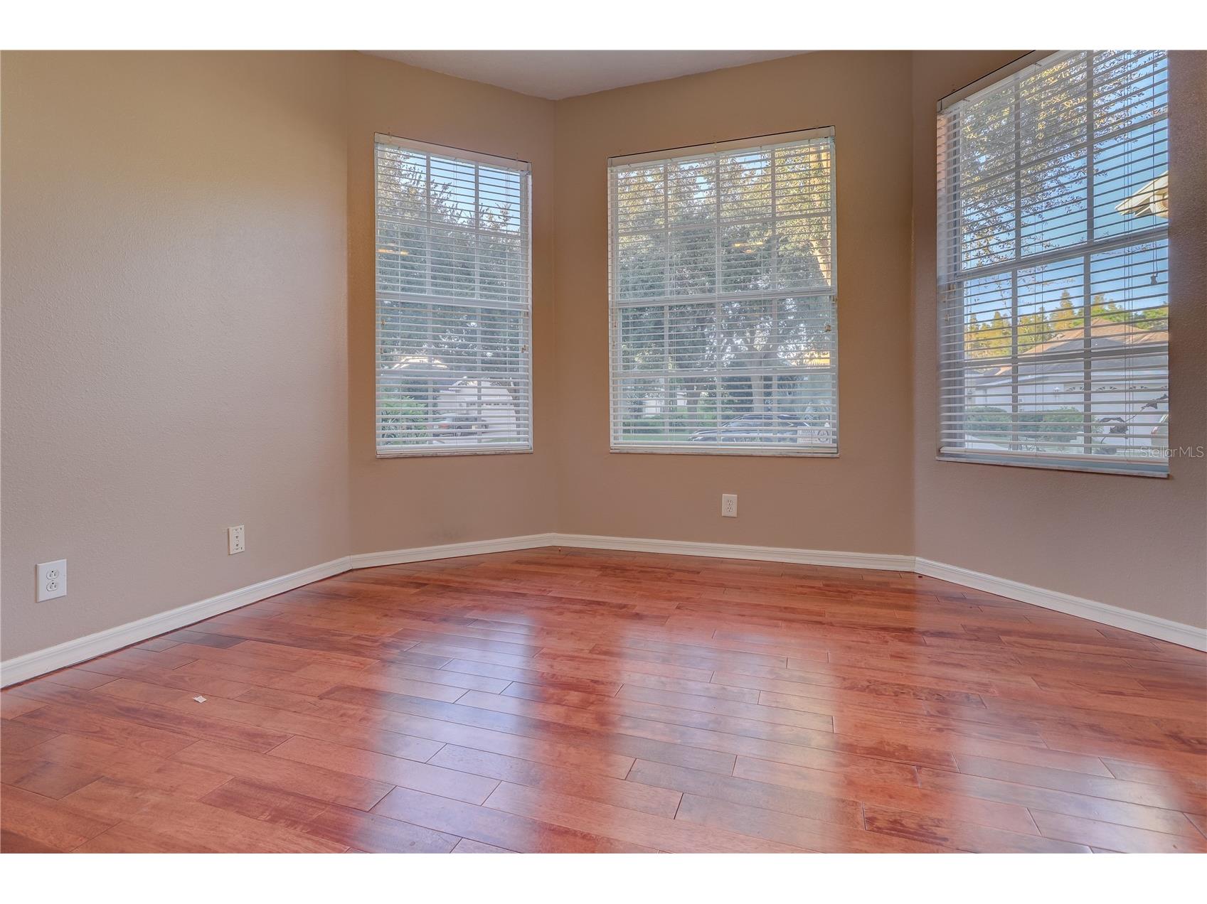 10215 Evergreen Hill Drive Tampa FL 33647 TB8510950 image17