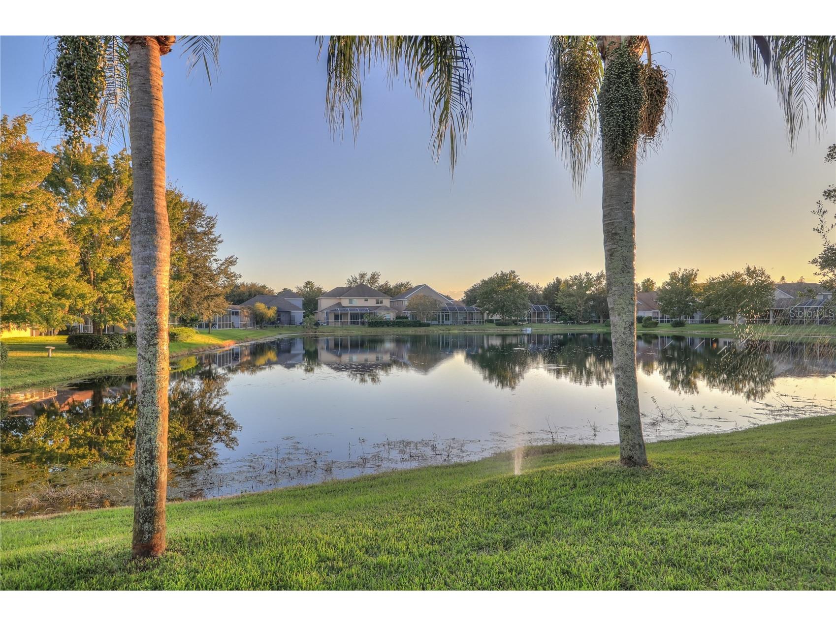 10215 Evergreen Hill Drive Tampa FL 33647 TB8510950 image2