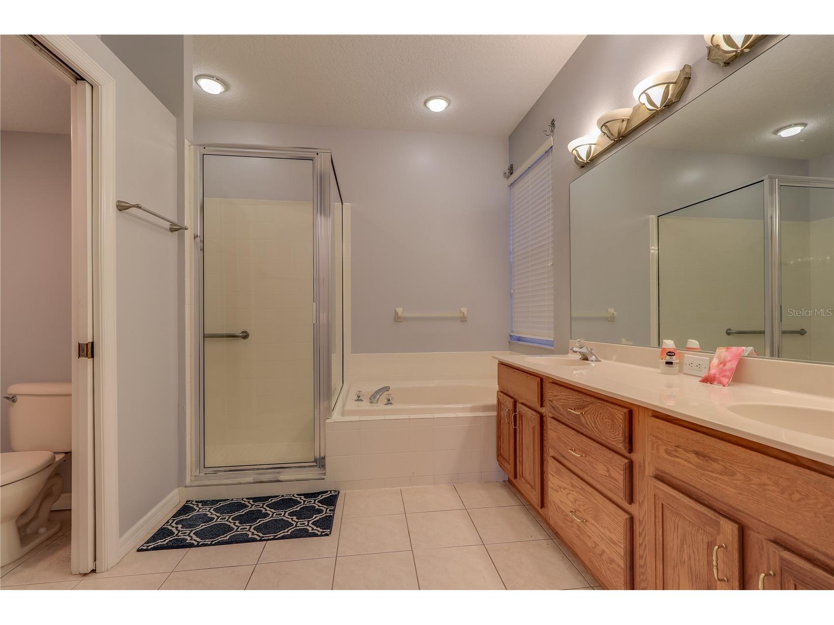 10215 Evergreen Hill Drive Tampa FL 33647 TB8510950 image28