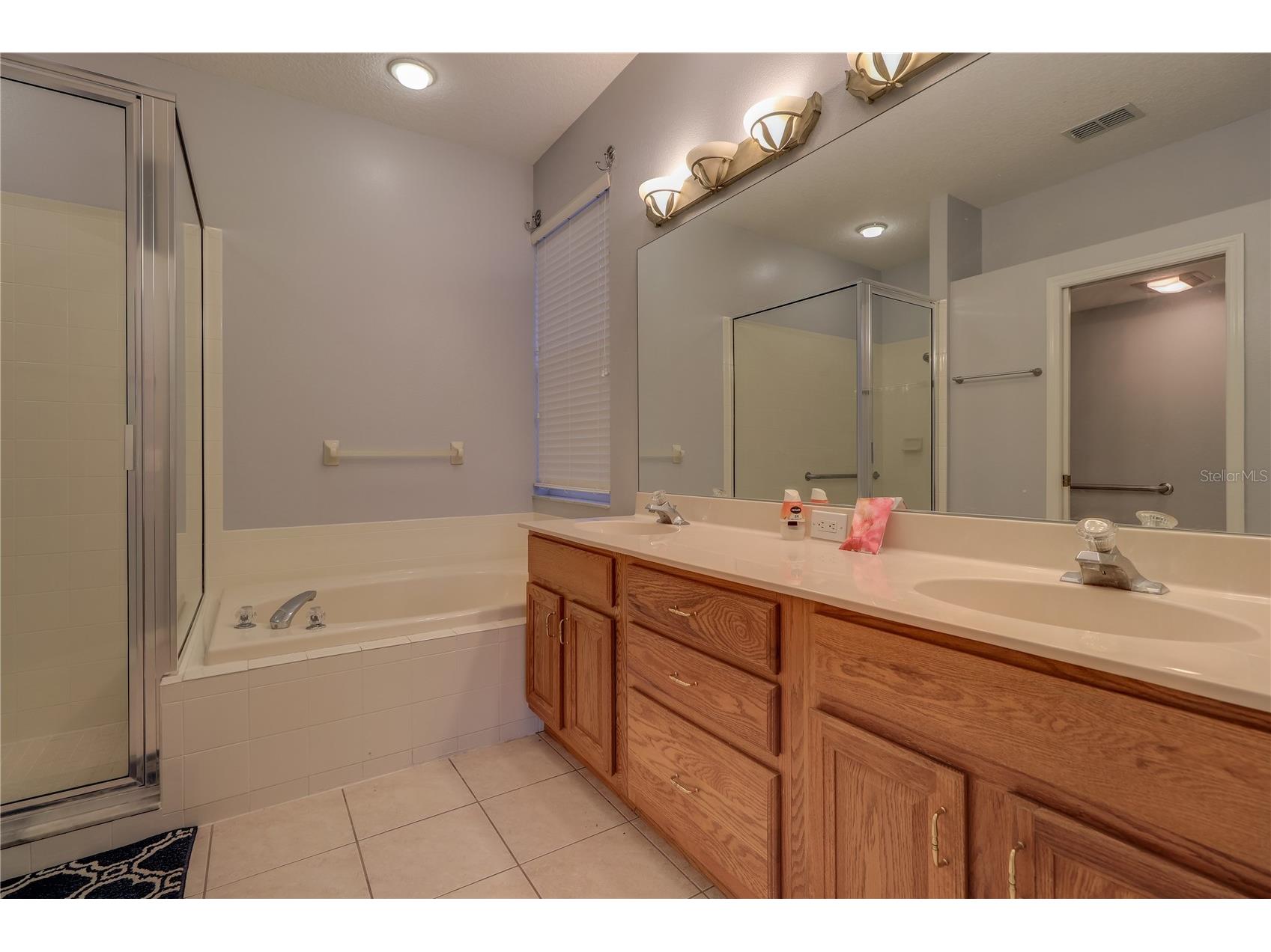 10215 Evergreen Hill Drive Tampa FL 33647 TB8510950 image29