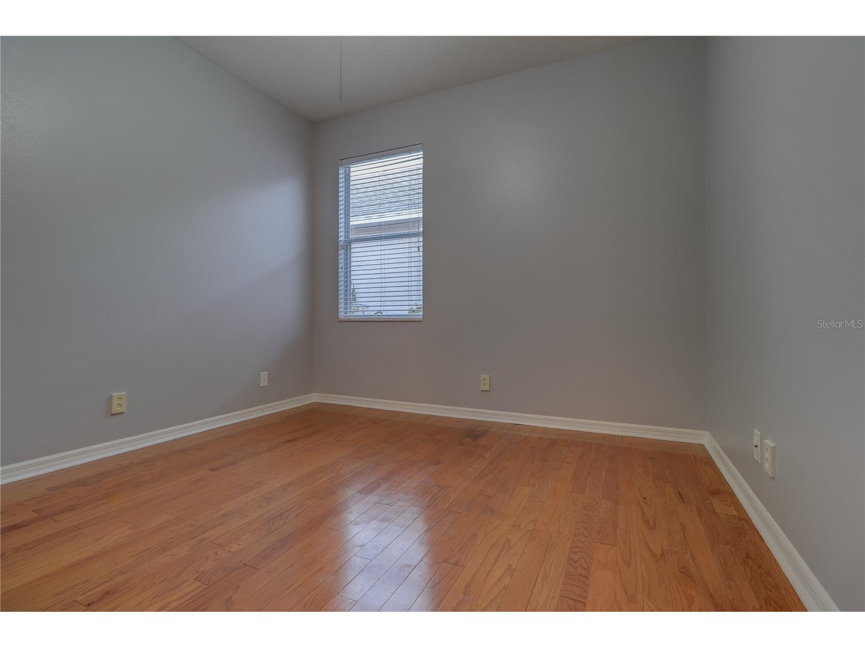 10215 Evergreen Hill Drive Tampa FL 33647 TB8510950 image30