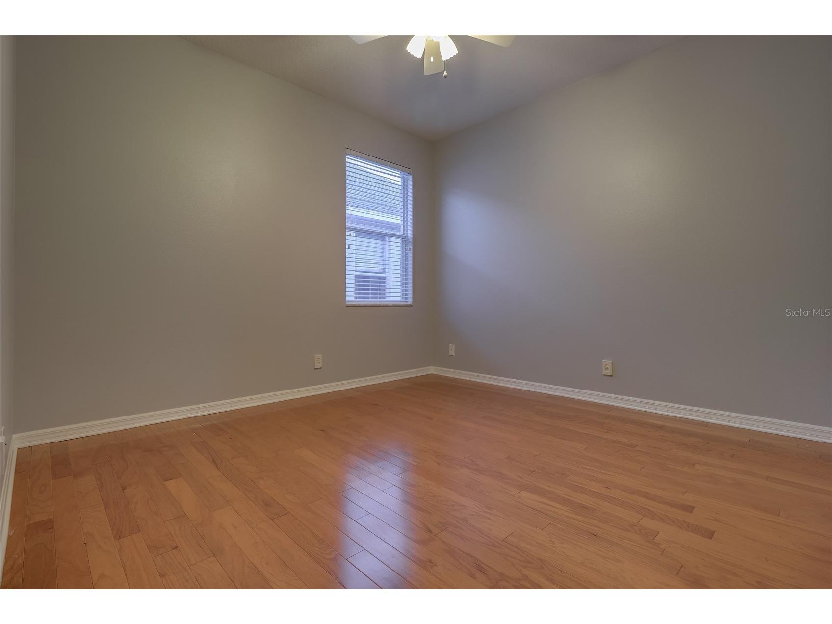 10215 Evergreen Hill Drive Tampa FL 33647 TB8510950 image32