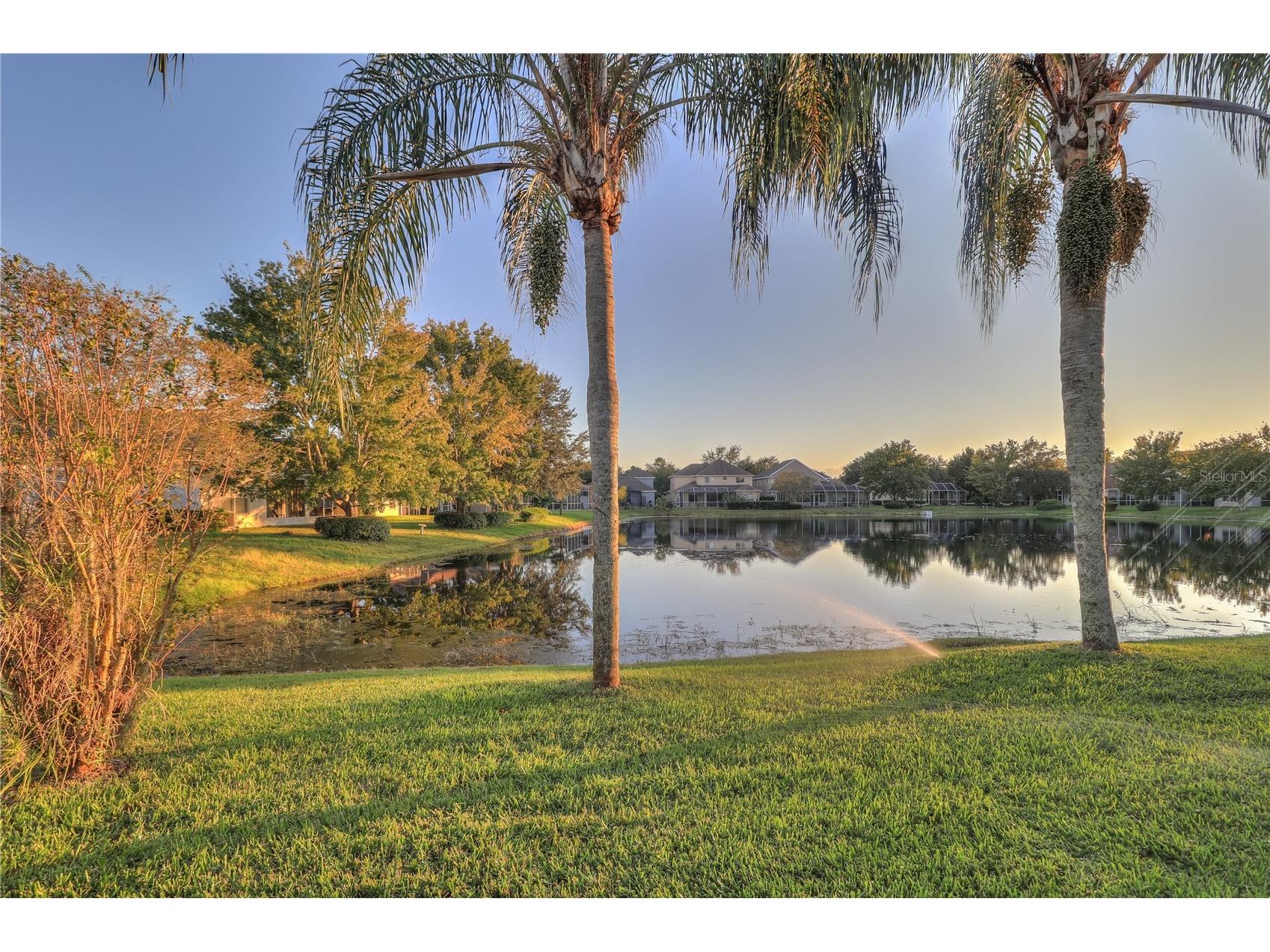 10215 Evergreen Hill Drive Tampa FL 33647 TB8510950 image35