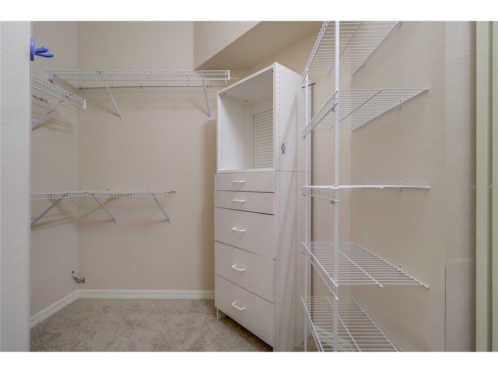 10215 Evergreen Hill Drive Tampa FL 33647 TB8510950 image41
