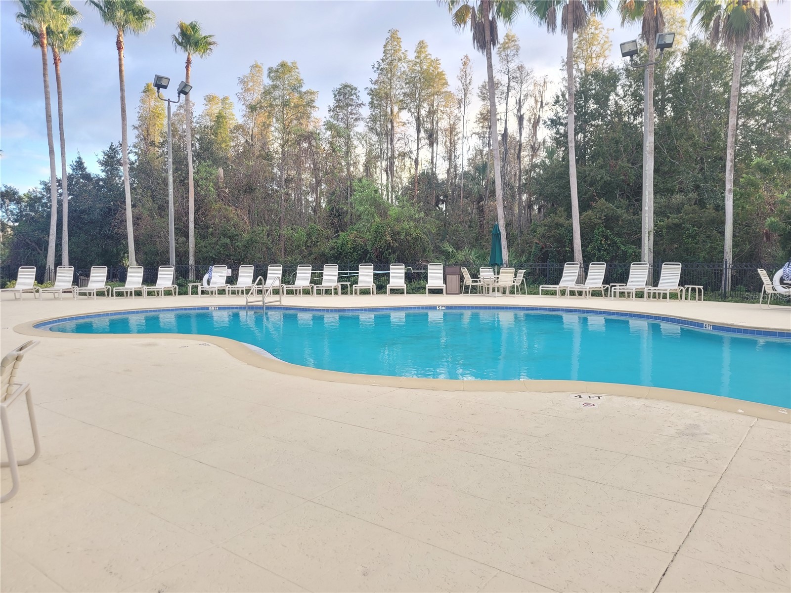 10215 Evergreen Hill Drive Tampa FL 33647 TB8510950 image44