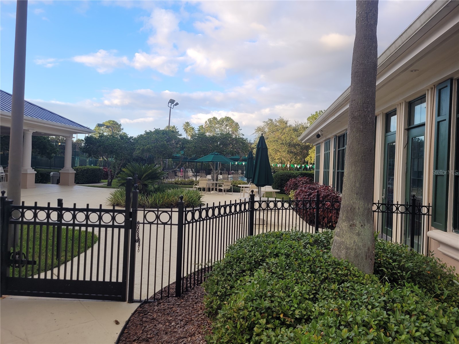 10215 Evergreen Hill Drive Tampa FL 33647 TB8510950 image47