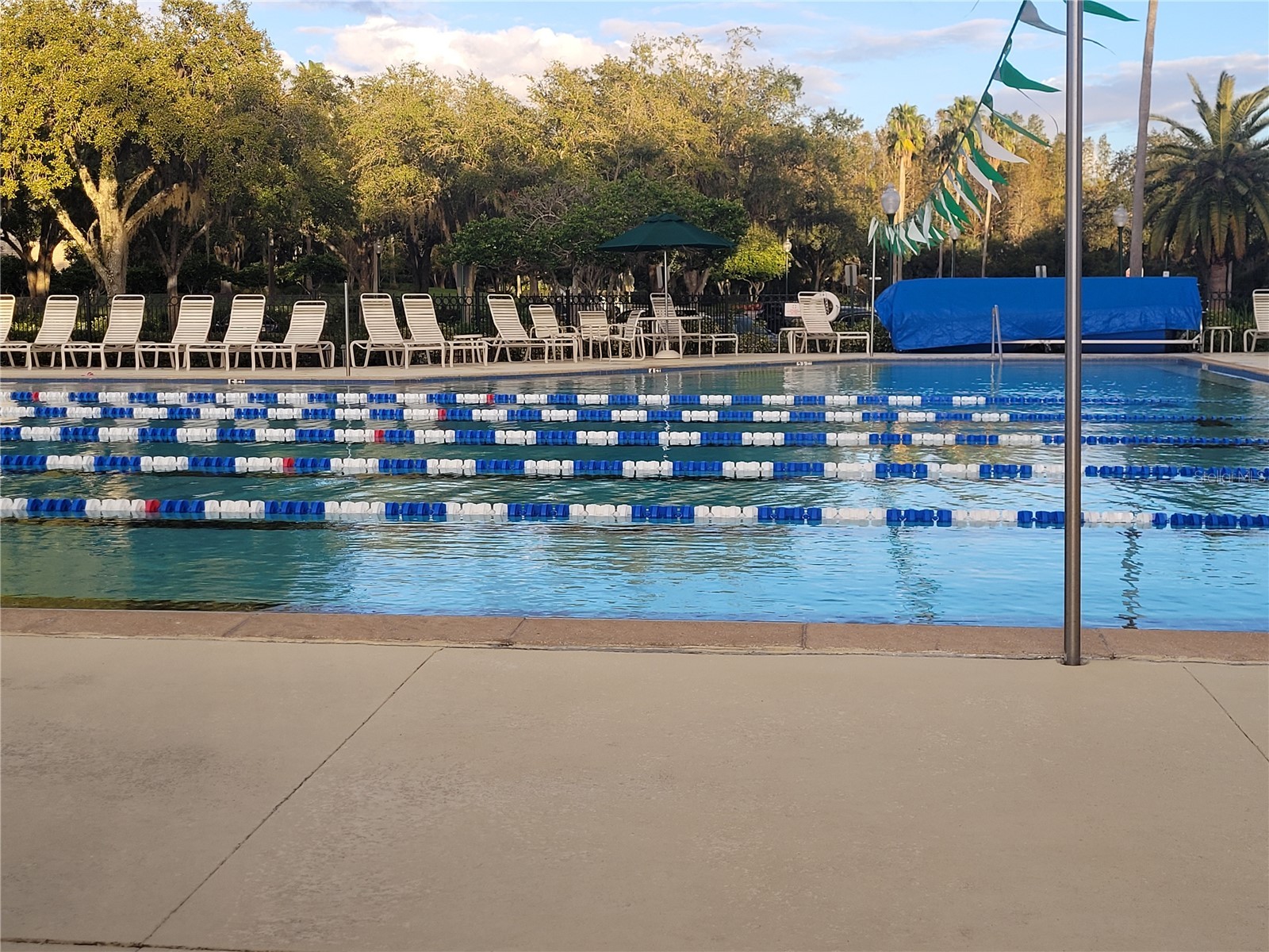 10215 Evergreen Hill Drive Tampa FL 33647 TB8510950 image50