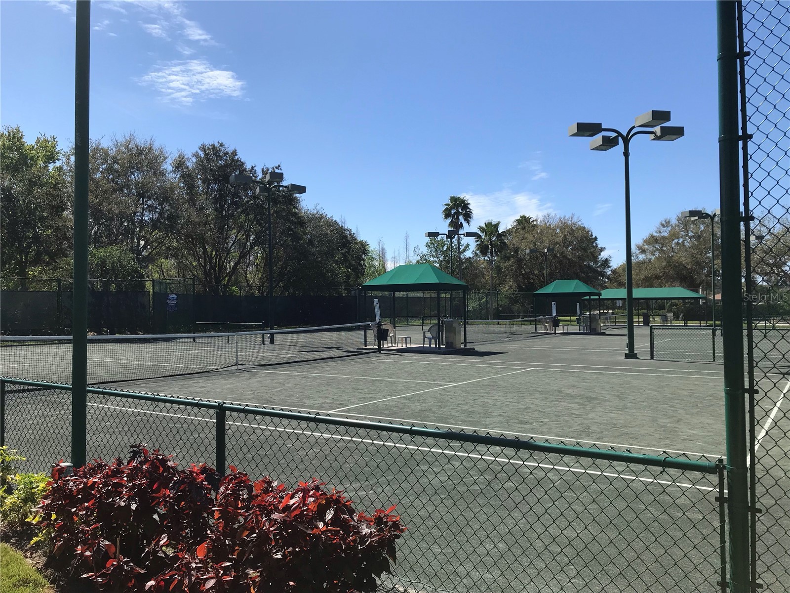 10215 Evergreen Hill Drive Tampa FL 33647 TB8510950 image55