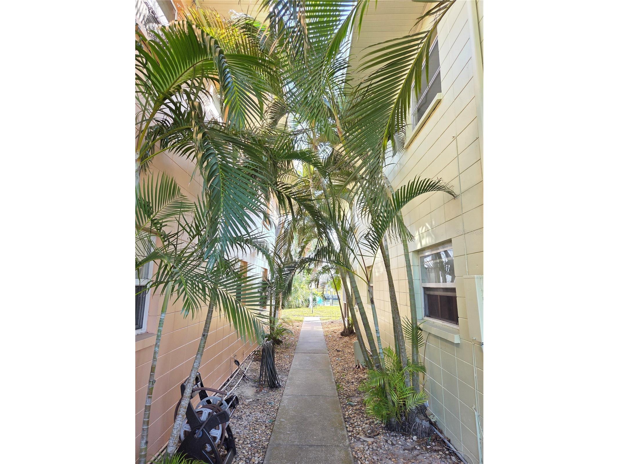 10215 Manatee Avenue W #1 Bradenton FL 34209 A4684567 image4