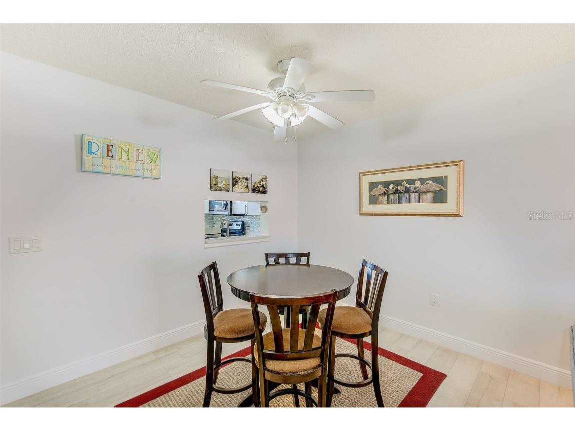 10215 Regal Drive #41 Largo FL 33774 - PINELLAS COUNTY INTRACOASTAL TB8377539 image15