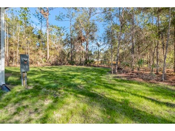 10215 W Ohio Drive Crystal River FL 34428 OM716805 image23