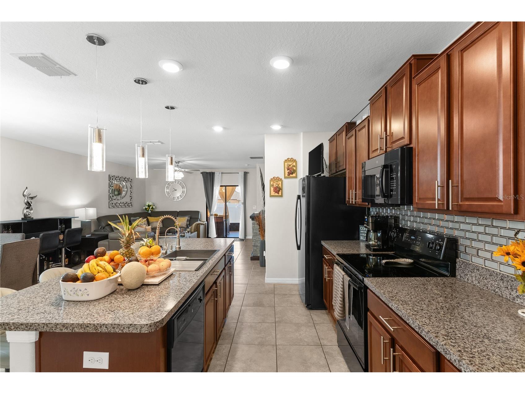 10216 Carloway Hills Drive Wimauma FL 33598 TB8503511 image13