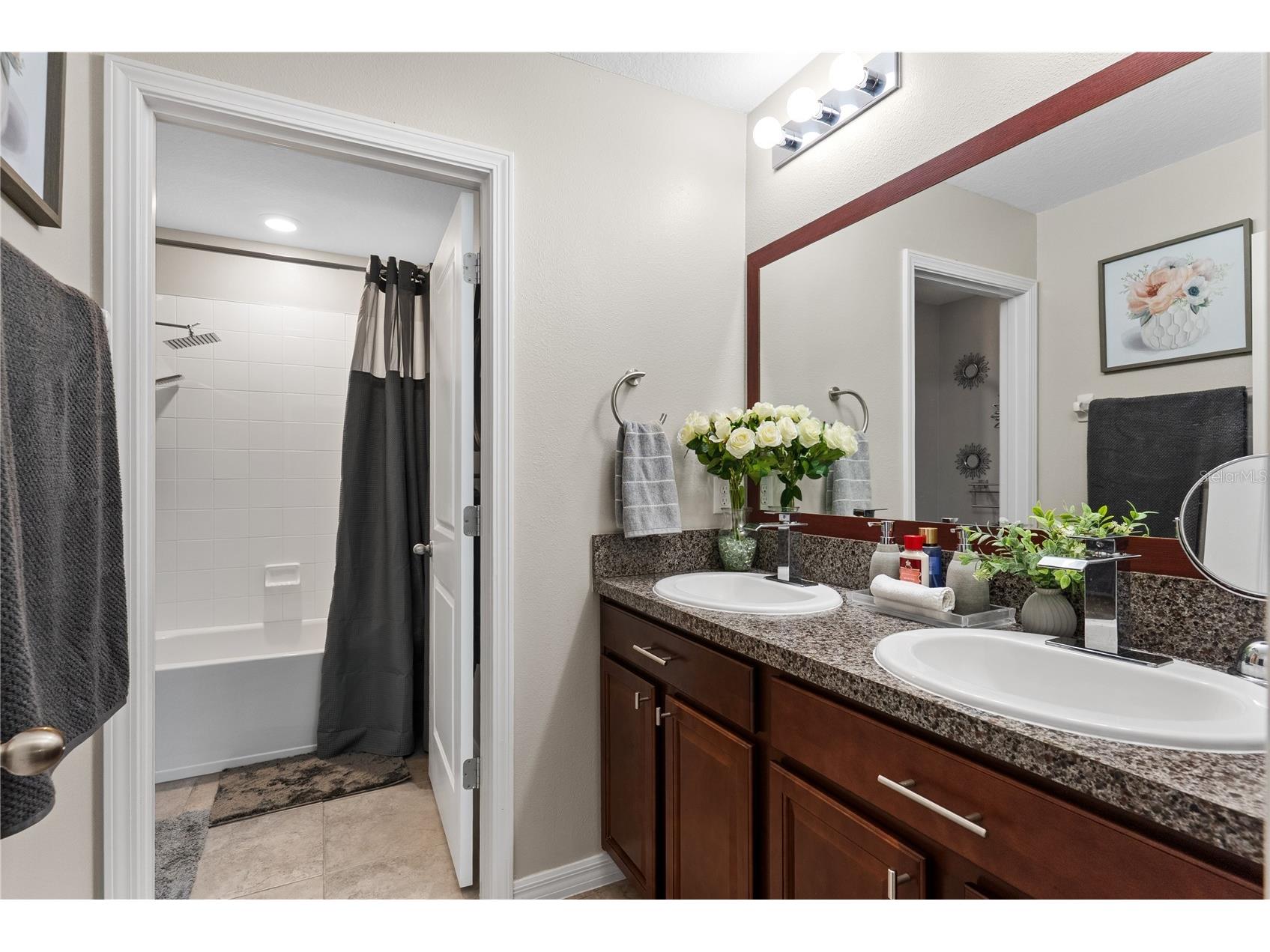 10216 Carloway Hills Drive Wimauma FL 33598 TB8503511 image29