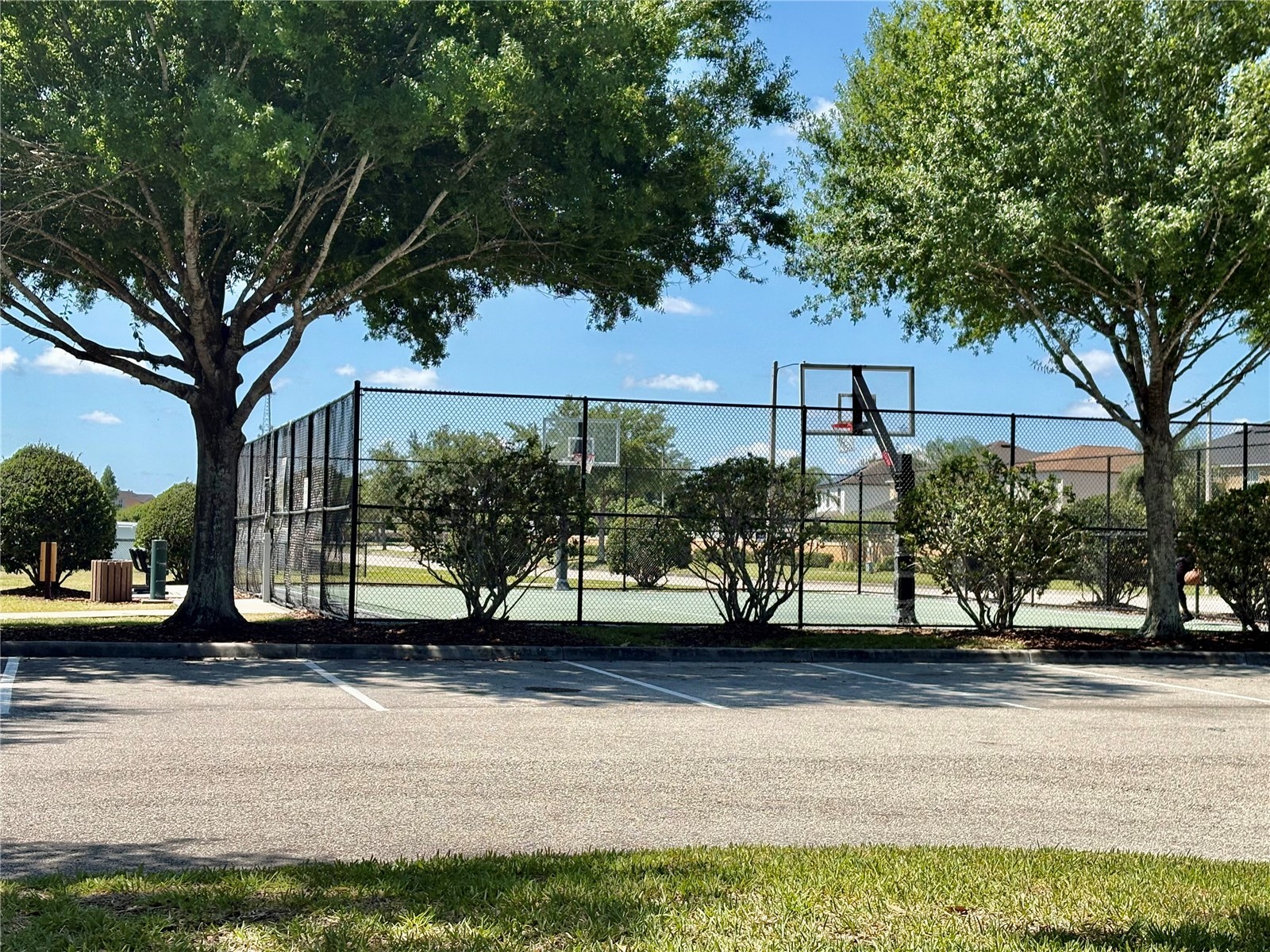 10216 Carloway Hills Drive Wimauma FL 33598 TB8503511 image55