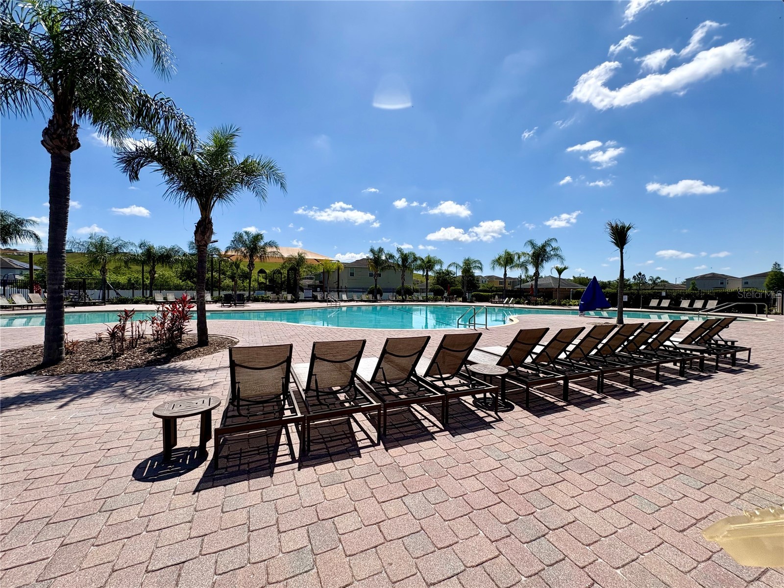 10216 Carloway Hills Drive Wimauma FL 33598 TB8503511 image61