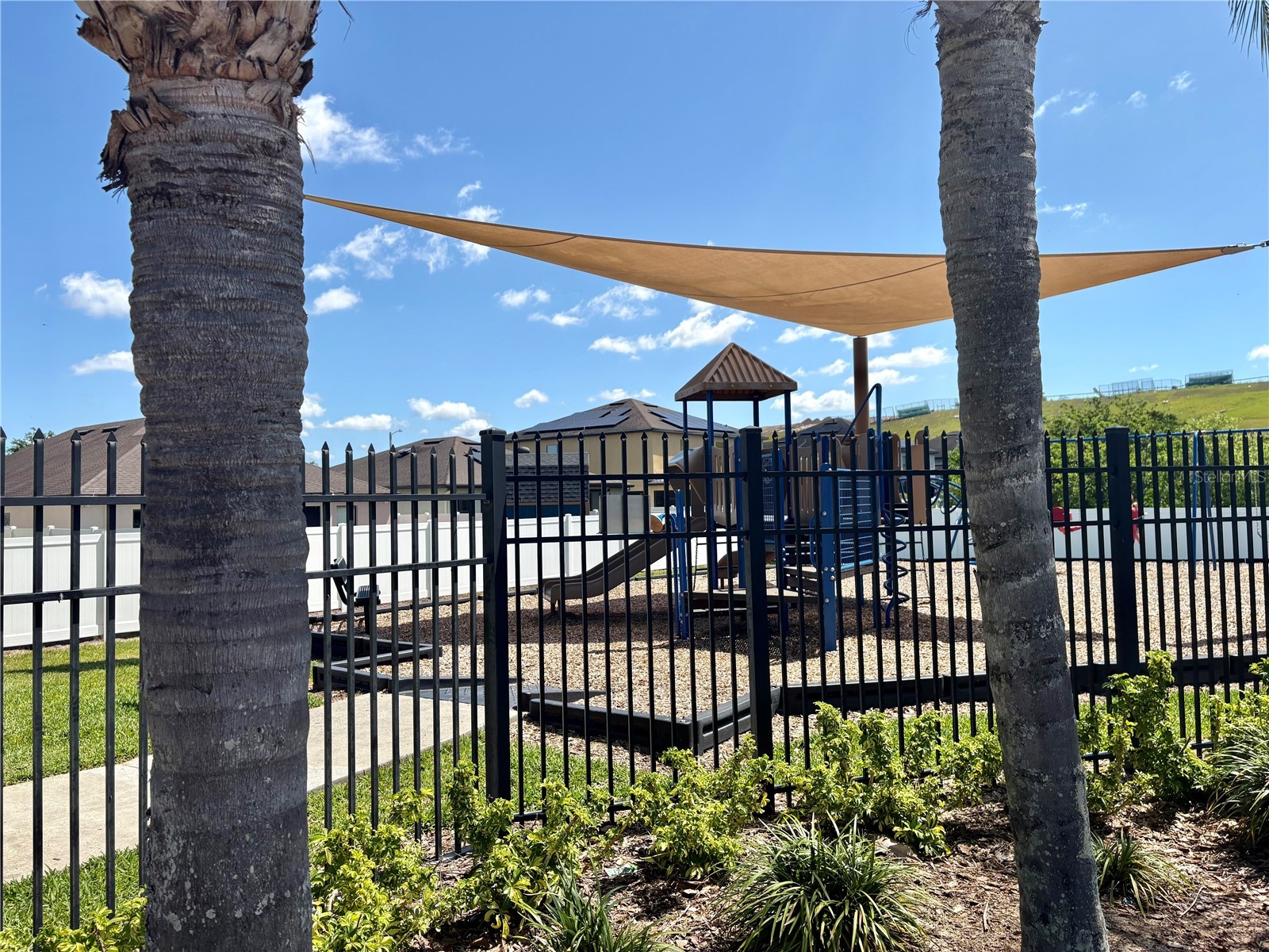 10216 Carloway Hills Drive Wimauma FL 33598 TB8503511 image63