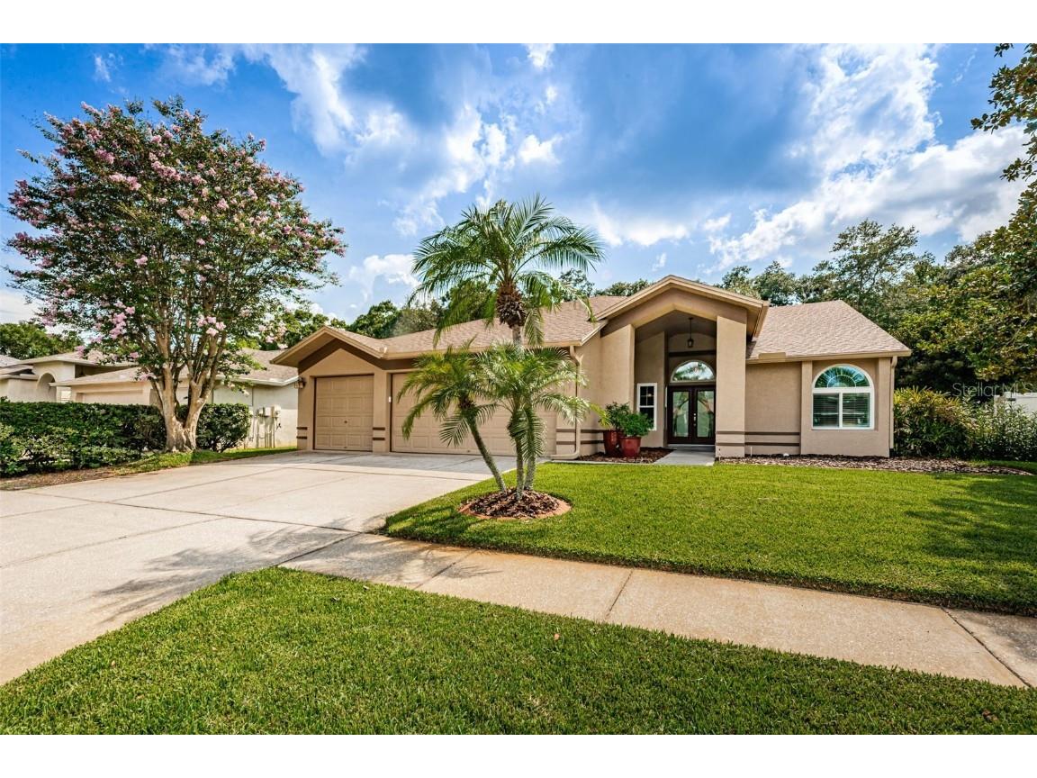 10216 Vista Pointe Drive Tampa FL 33635 U8207872 image1