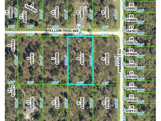 10216 Yellow Frog Avenue Weeki Wachee FL 34614 W7859820 image1