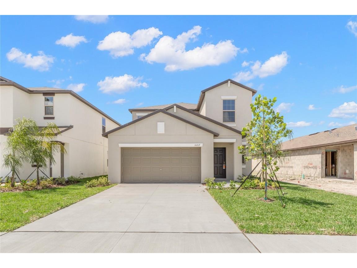10217 Summer Kiss Avenue Riverview FL 33578 T3484530 image1