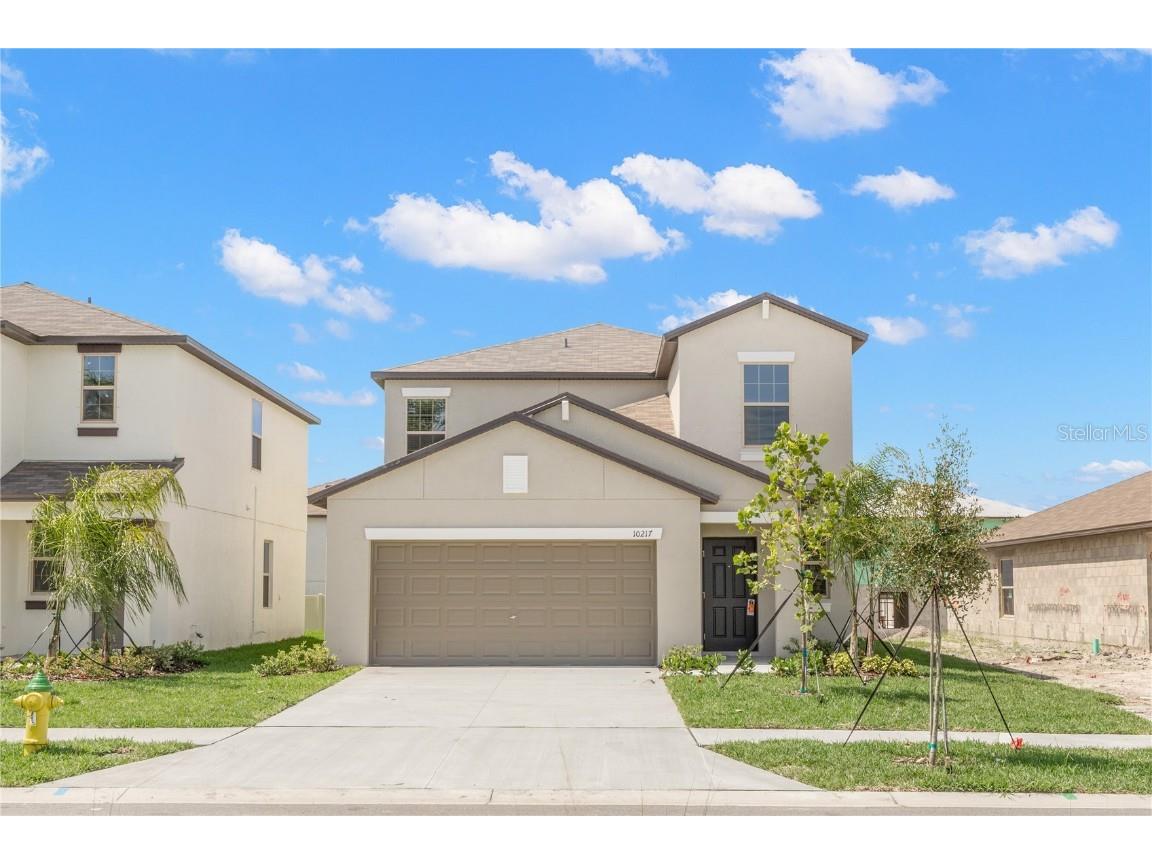 10217 Summer Kiss Avenue Riverview FL 33578 T3545697 image1