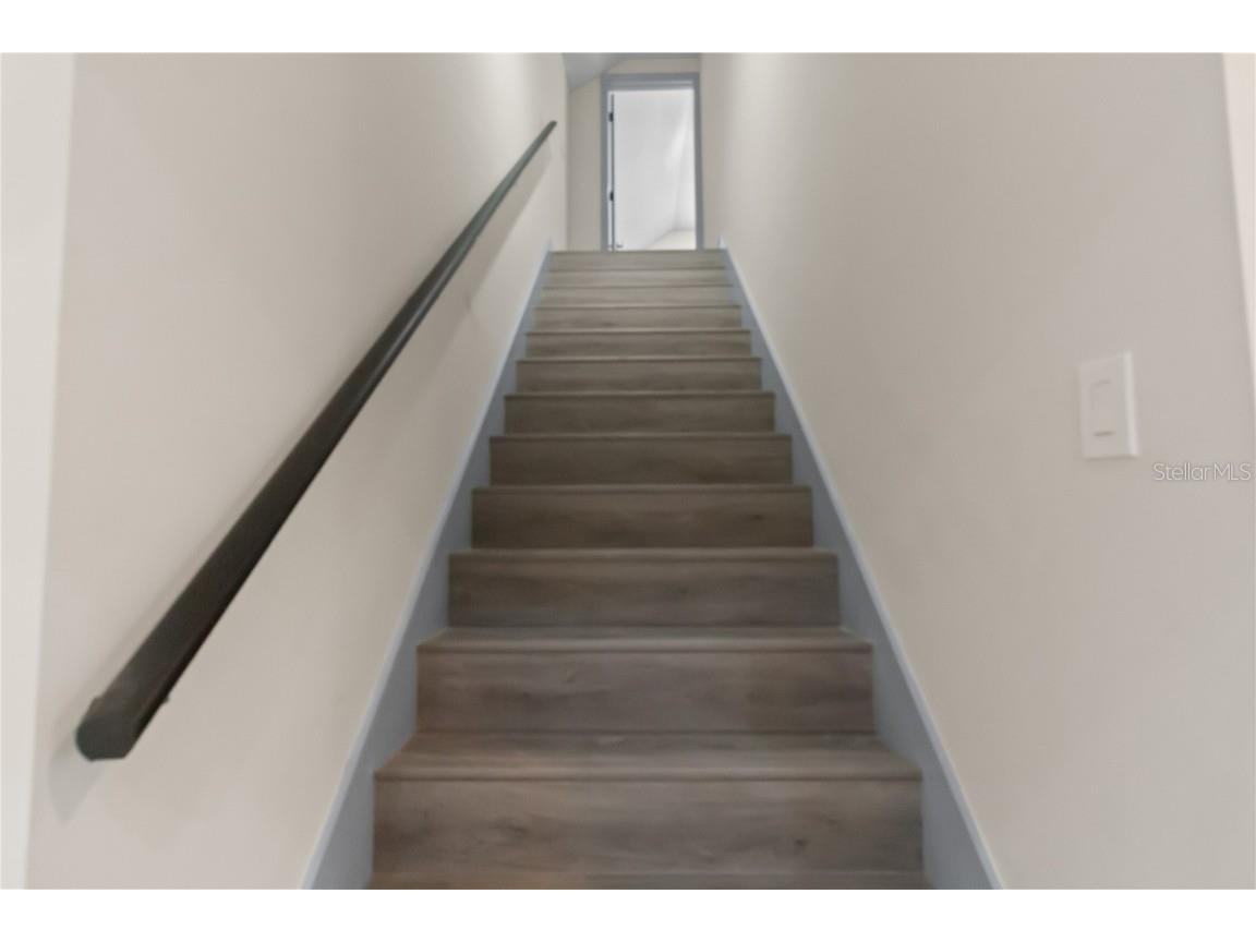 10217 Timberland Point Drive Tampa FL 33647 O6344803 image40