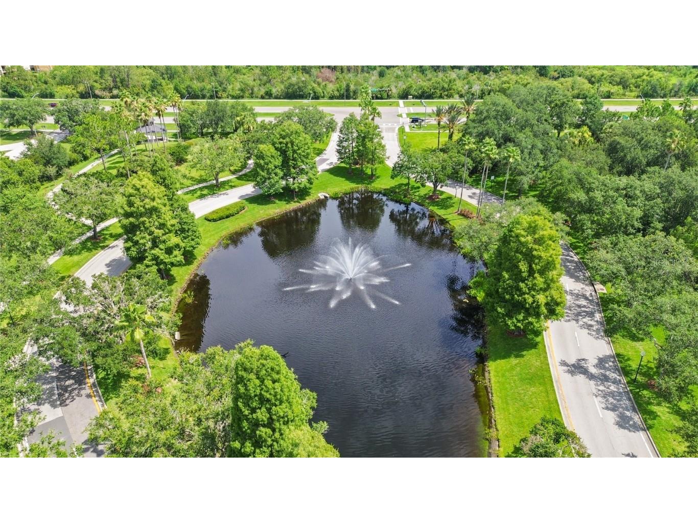 10217 Timberland Point Drive Tampa FL 33647 O6344803 image55