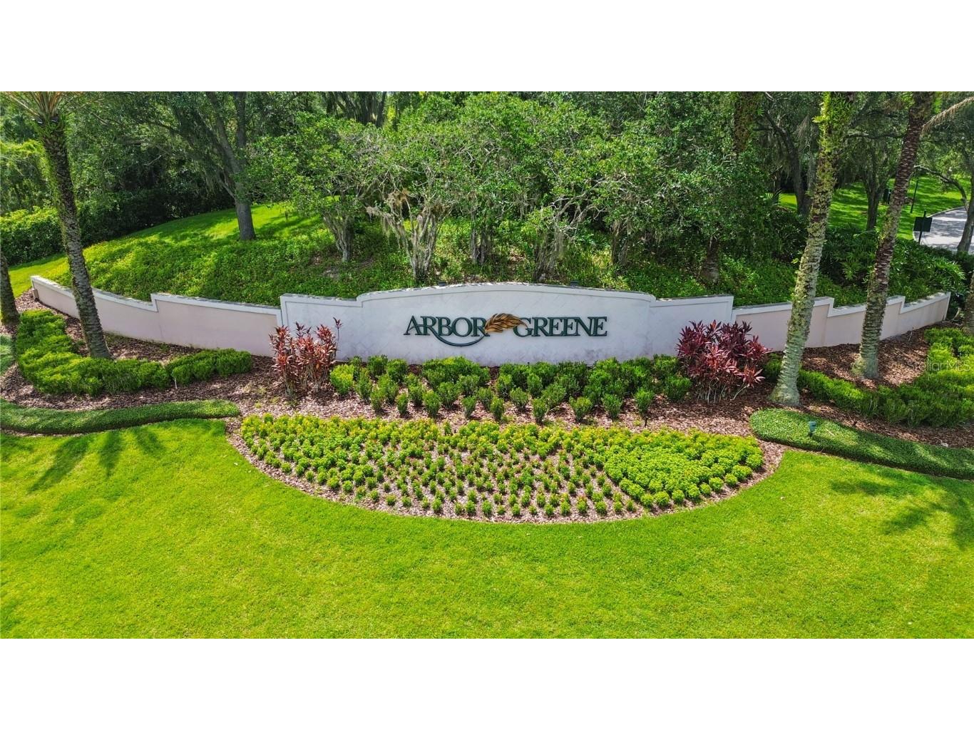 10217 Timberland Point Drive Tampa FL 33647 O6344803 image58